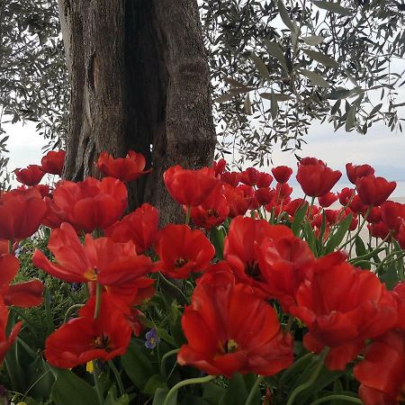 Relais Villa Stella Taranto Kültér fotó