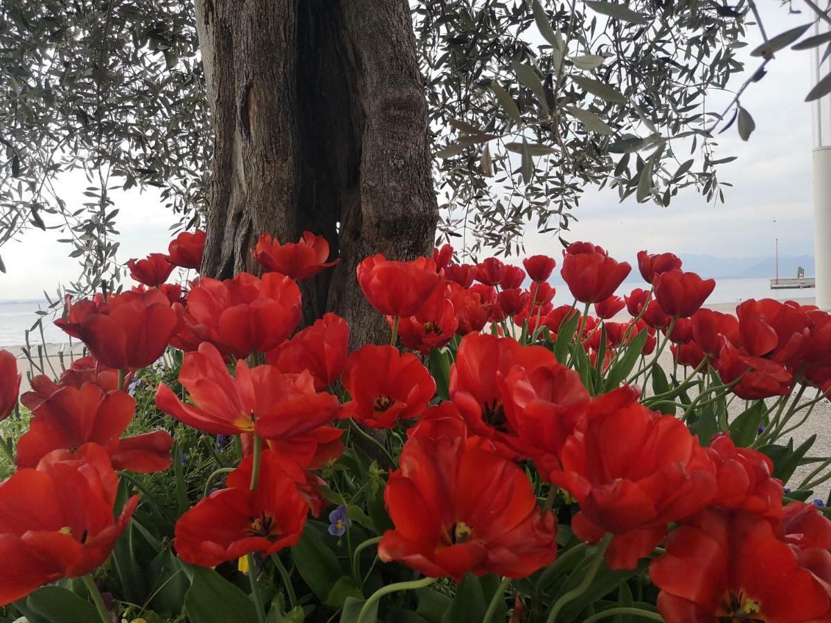 Relais Villa Stella Taranto Kültér fotó